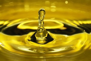 Magazine, Olio Salve, Olio Extravergine di Oliva